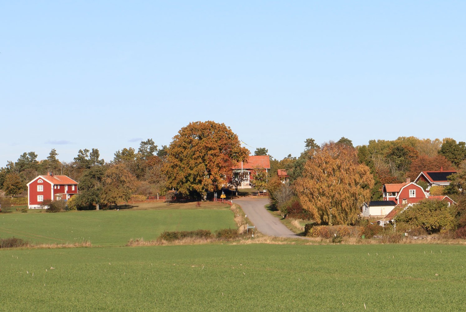 Åsen vid Petersborg norr om Läckeby med Skrammelstorps gamla skola i mitten av bilden Foto: Stefan Svenaeus 2025