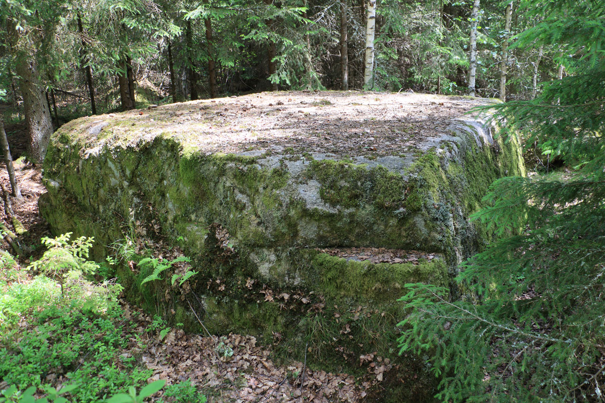 Foto: Stefan Svenaeus 2025