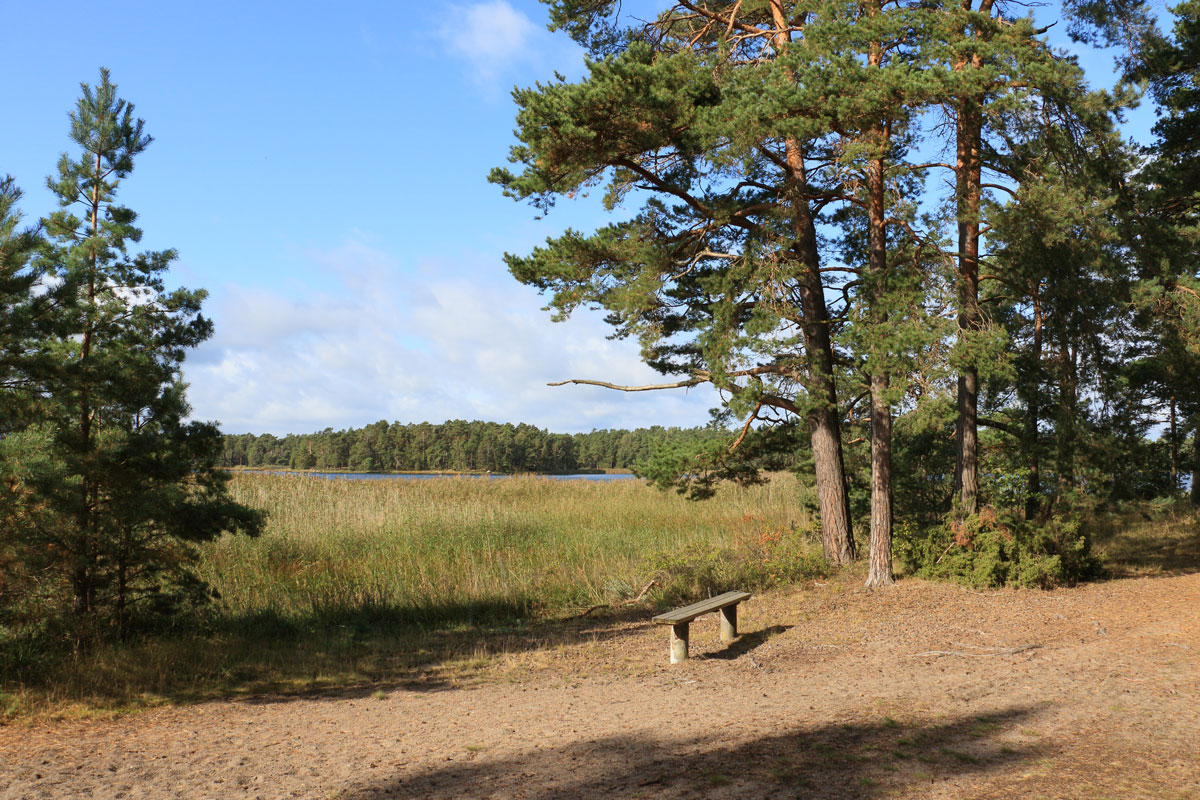 Foto: Stefan Svenaeus 2025