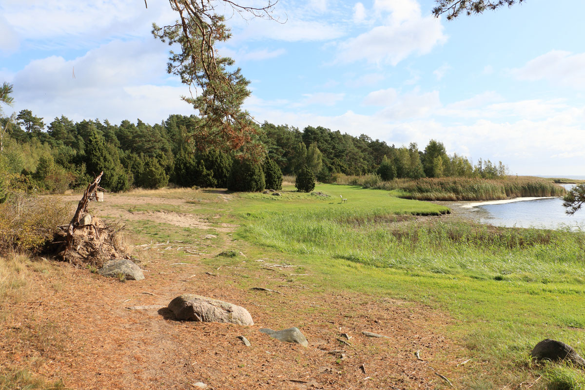 Foto: Stefan Svenaeus 2025