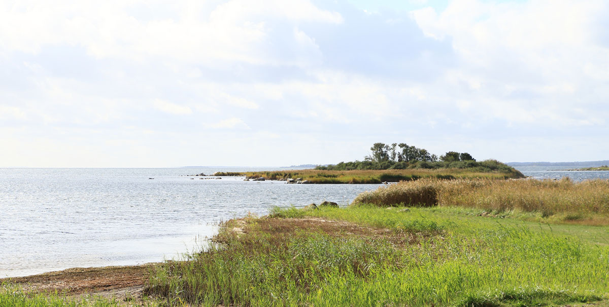 Foto: Stefan Svenaeus 2025