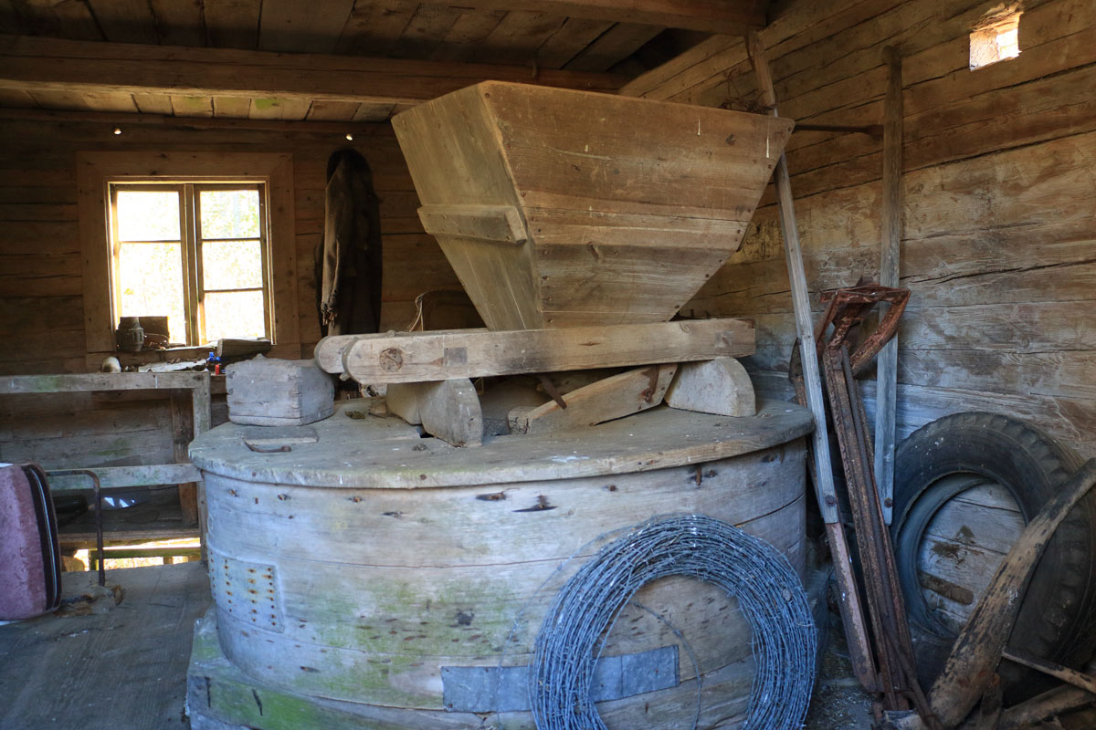 Foto: Stefan Svenaeus 2025