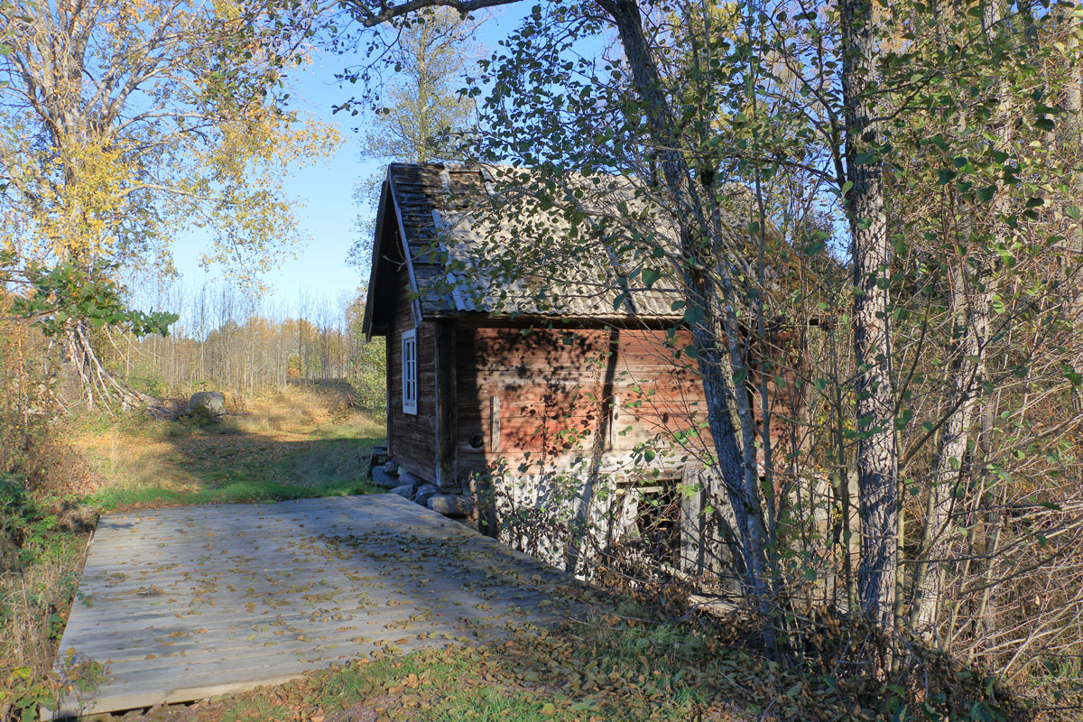 Foto: Stefan Svenaeus 2025