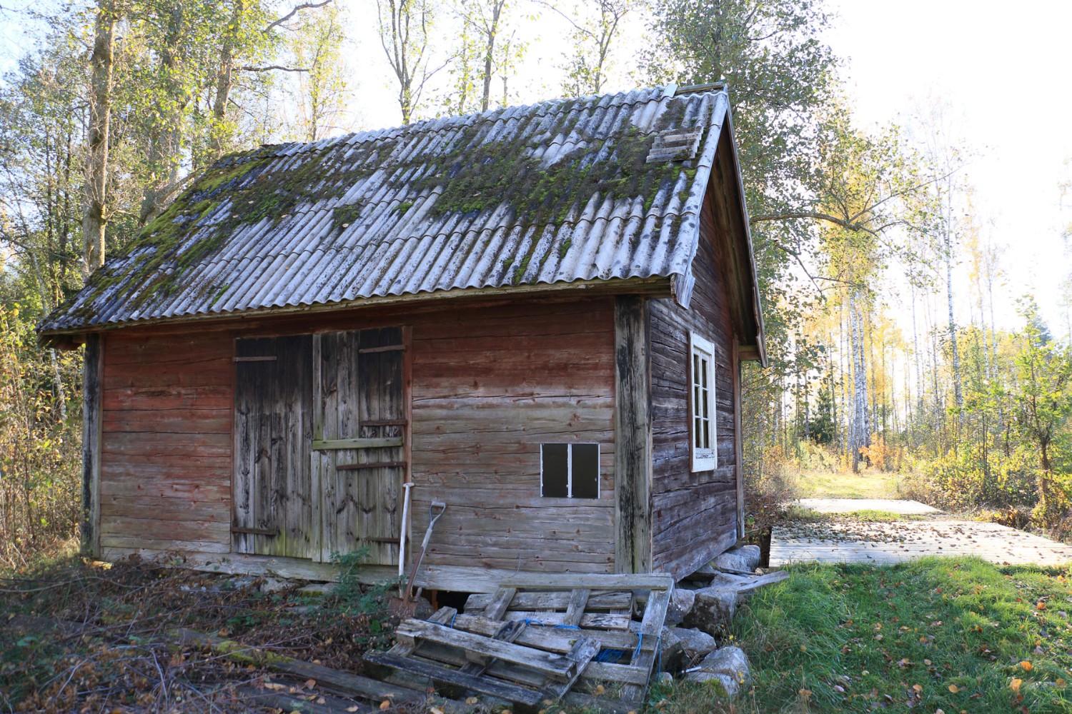 Foto: Stefan Svenaeus 2025