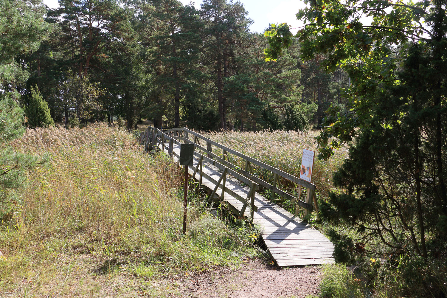 Foto: Stefan Svenaeus 2025