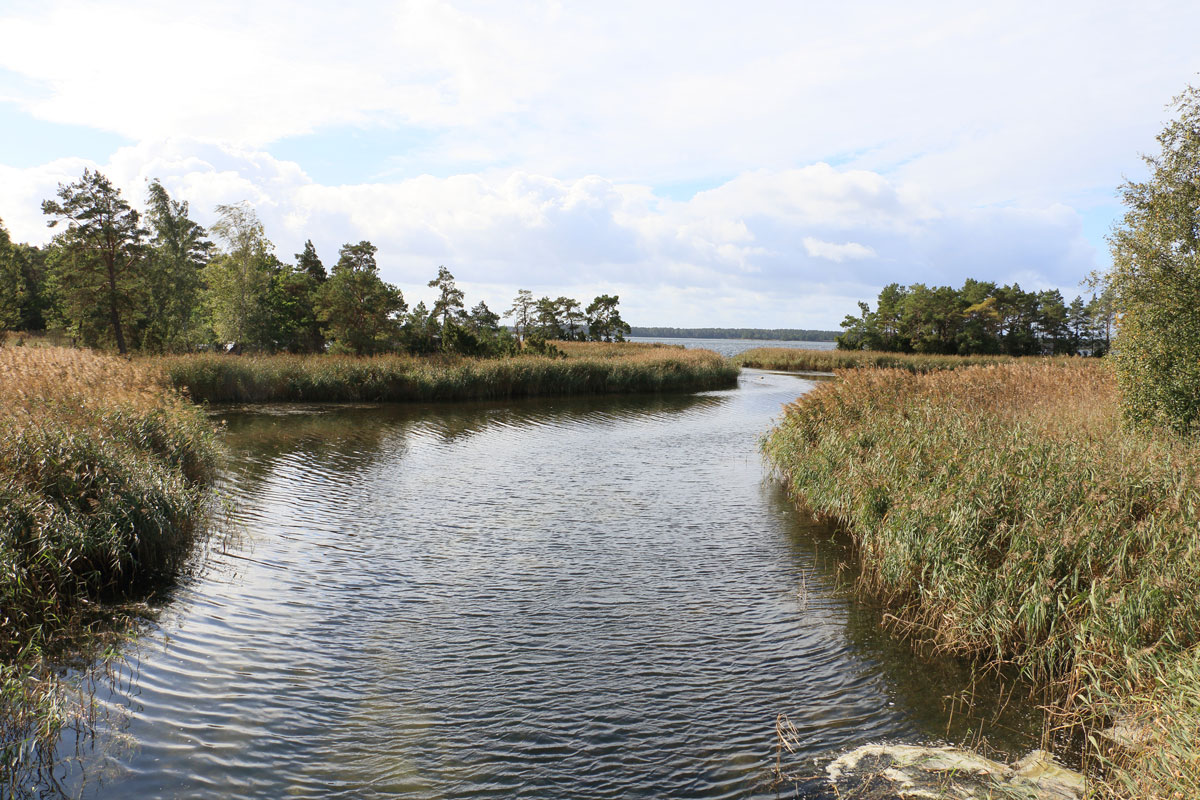 Utsikt från bron mot väster Foto: Stefan Svenaeus 2025