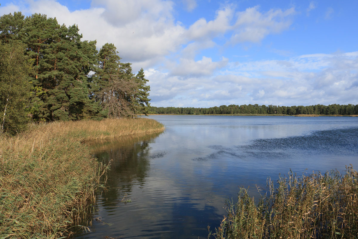 Utsikt från bron mot öster Foto: Stefan Svenaeus 2025