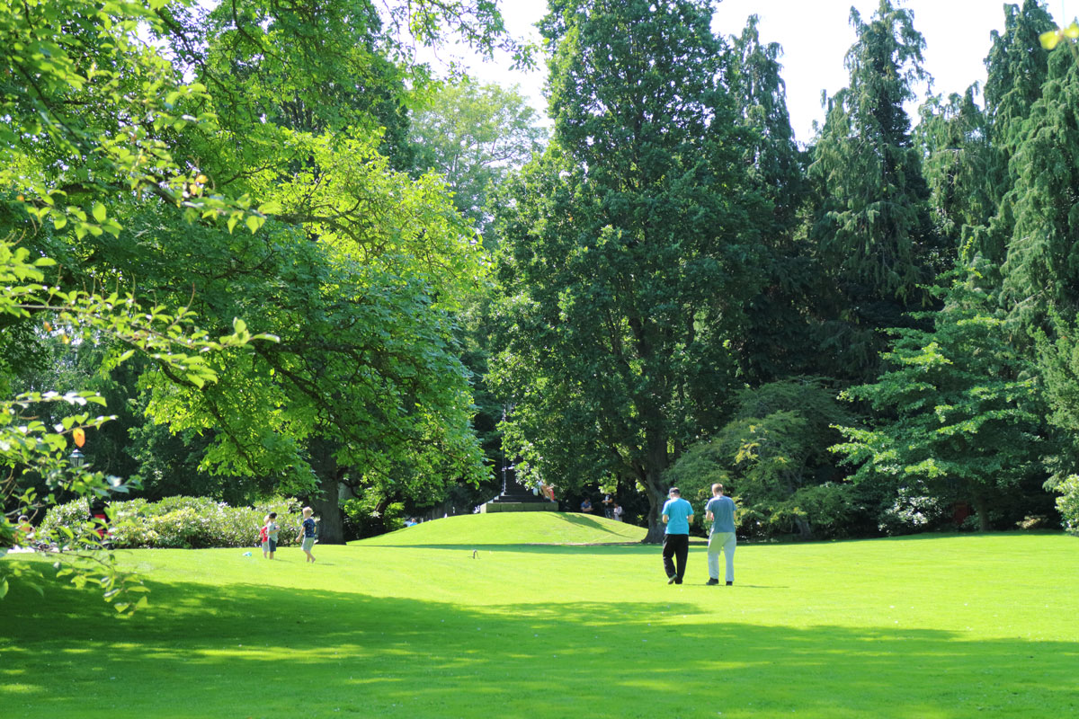 Foto: Stefan Svenaeus 2017