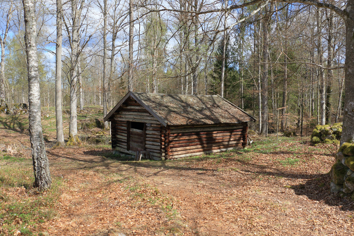 Ängslada Foto: Stefan Svenaeus 2025