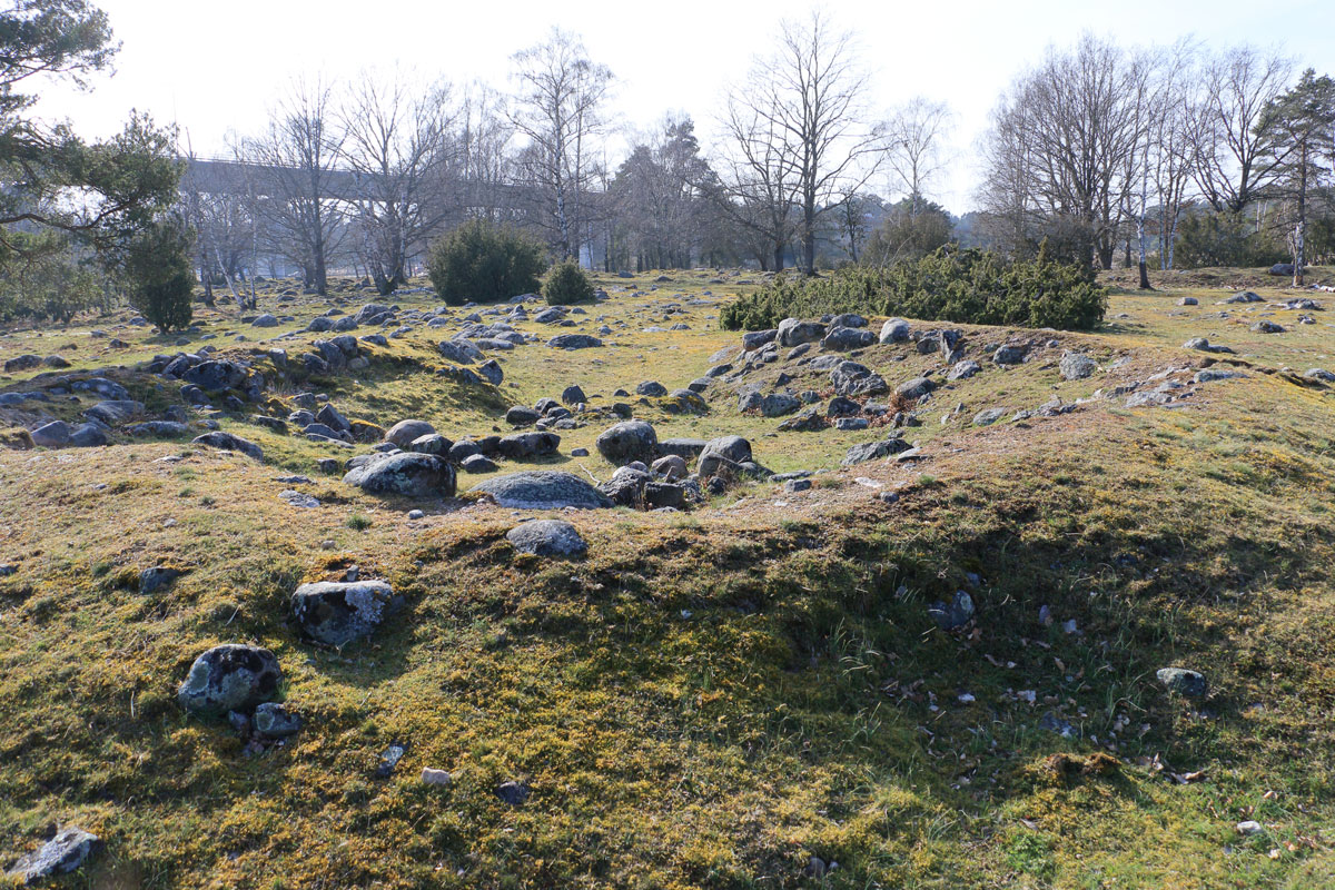 Foto; Stefan Svenaeus 2024