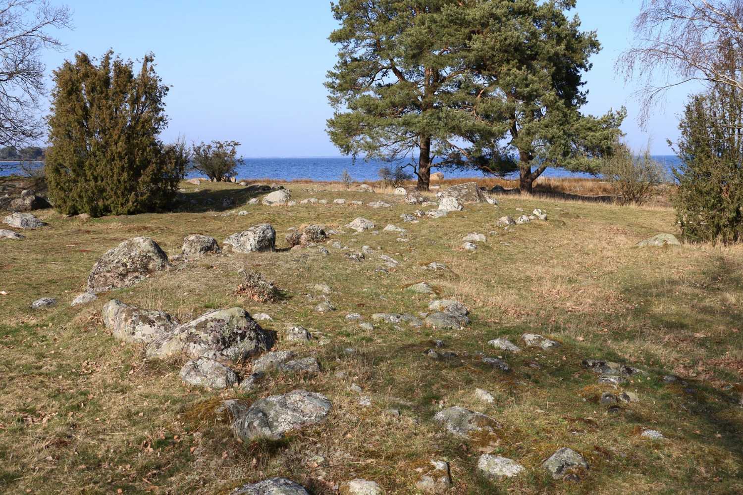 Foto; Stefan Svenaeus 2024