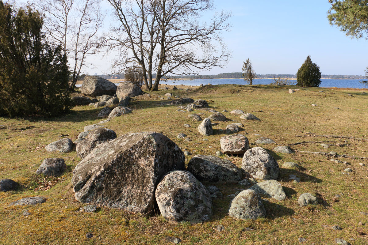 Foto; Stefan Svenaeus 2024