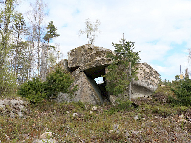 Foto: Stefan Svenaeus 2025
