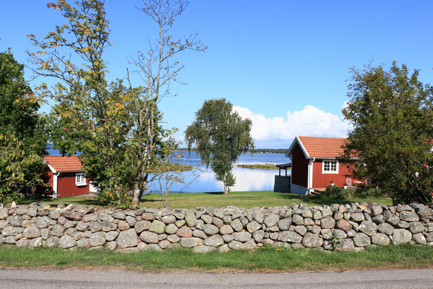Foto: Stefan Svenaeus 2025