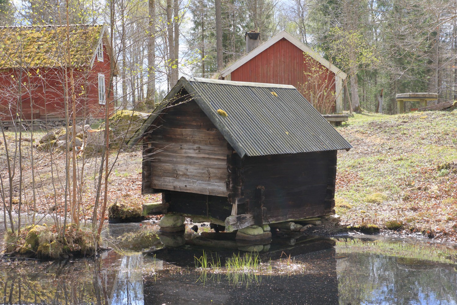 Foto: Stefan Svenaeus 2025