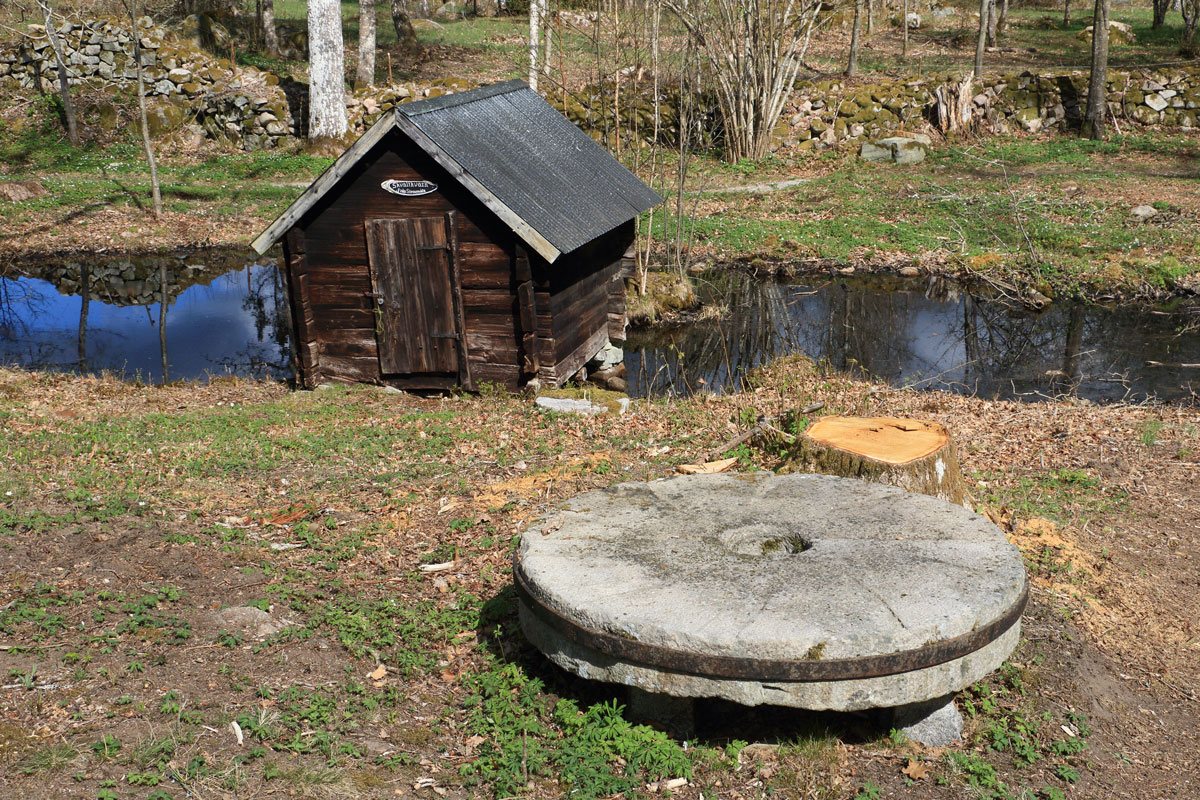 Foto: Stefan Svenaeus 2025