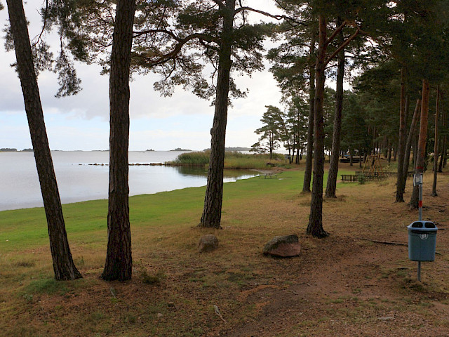 Foto: Stefan Svenaeus 2025