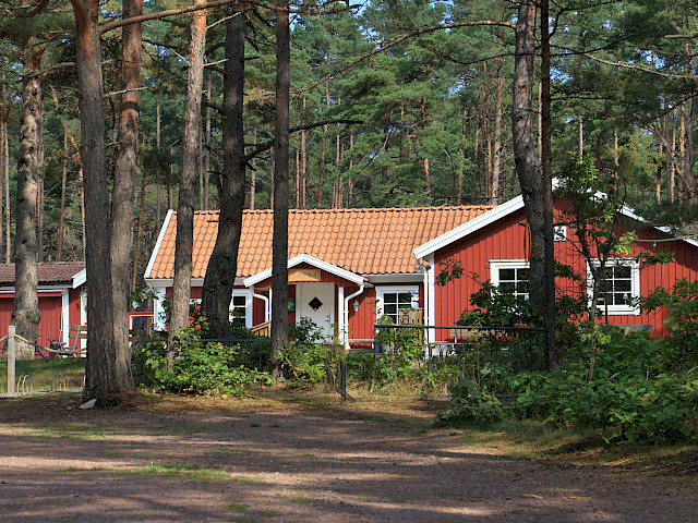 Foto: Stefan Svenaeus 2025
