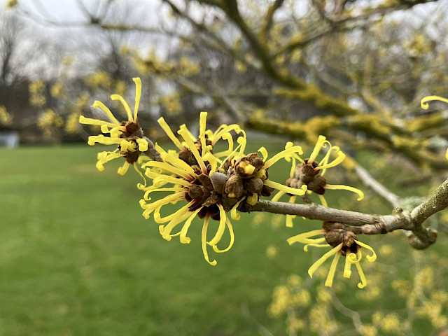 Foto: Stefan Svenaeus 2024