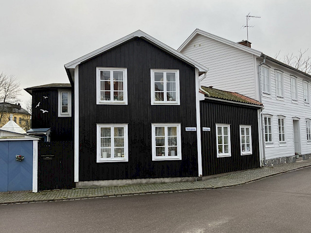 Foto: Stefan Svenaeus 2024