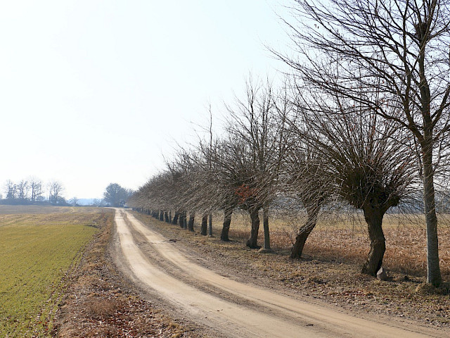 Foto: Stefan Svenaeus 2026